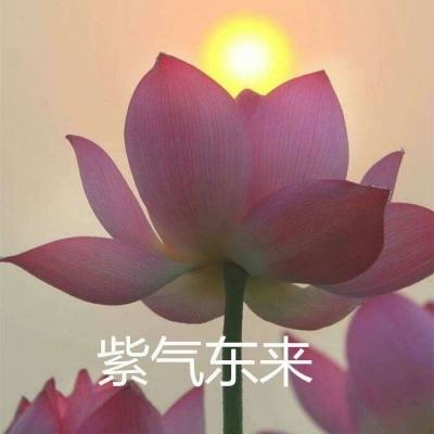 华山论剑hd版游戏下载